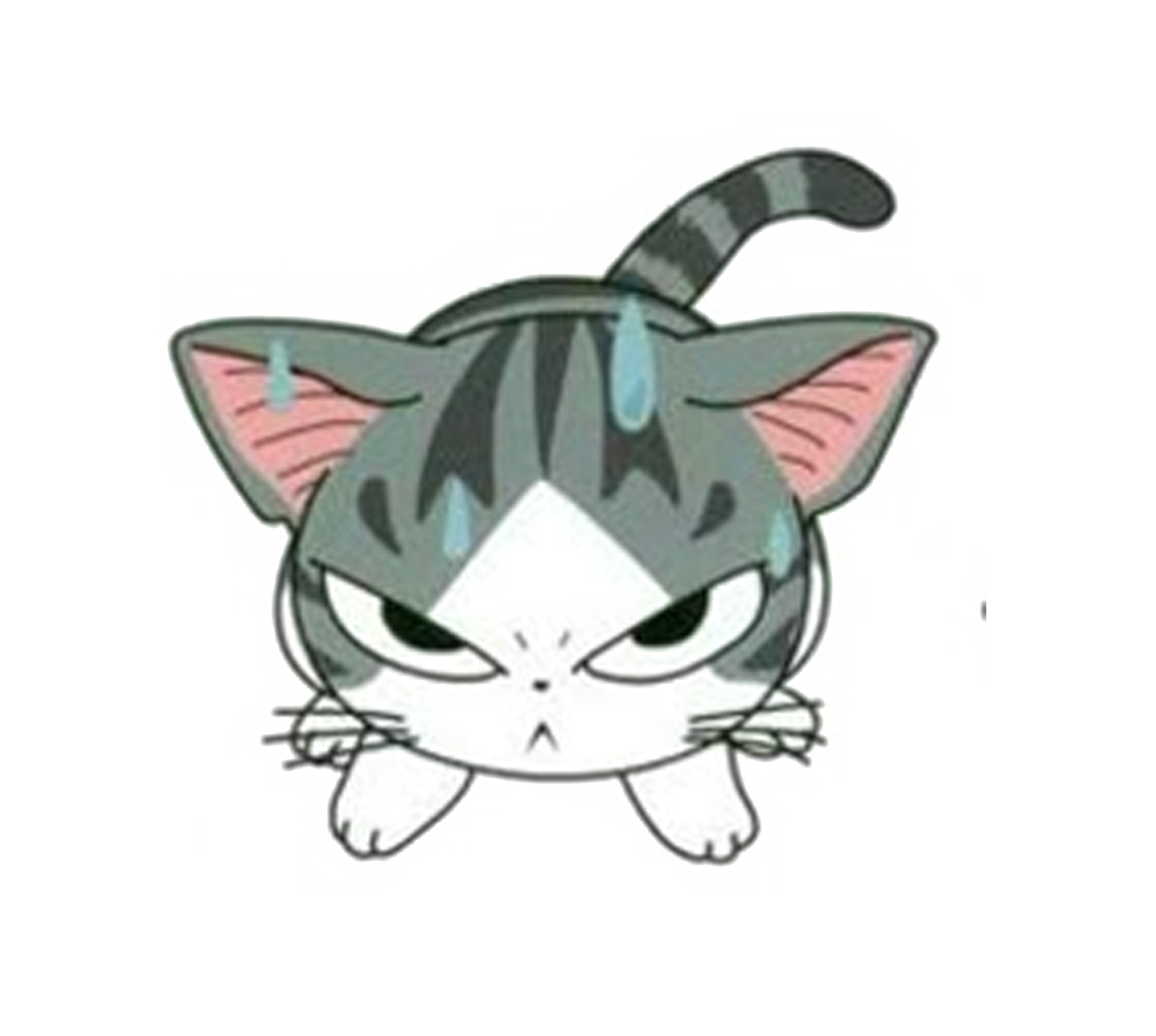 Mad Cat